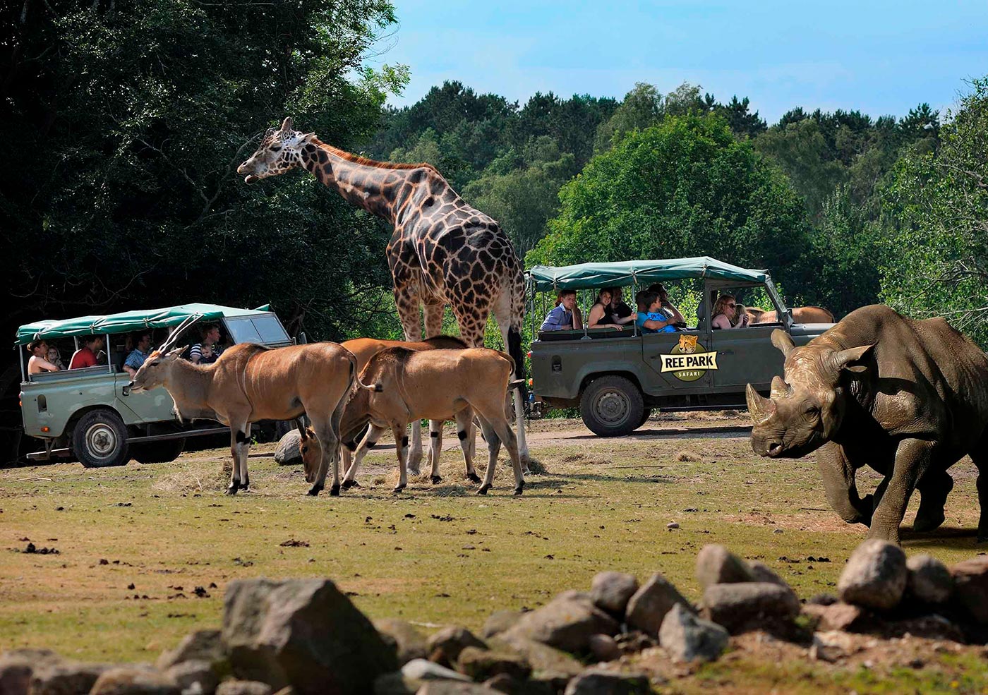Kom helt tæt på dyrene i Ree Park Safari